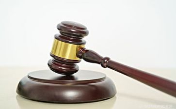 小学主任工作计划优质5篇