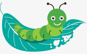 读书虫系列读后感5篇