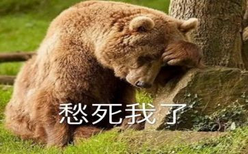 我心里的愁作文通用6篇