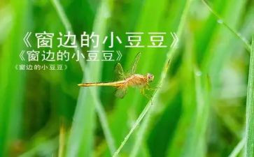 2023年交通工作总结最新7篇