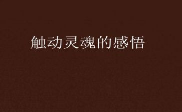 2023年物设部工作计划7篇