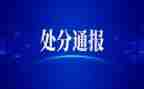 申请处分的申请书模板6篇