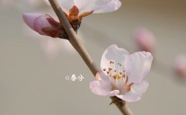 一年级下班主任工作总结优秀5篇