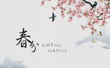 个人中班学期总结5篇