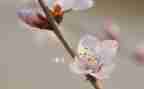 一年级下班主任工作总结优秀5篇