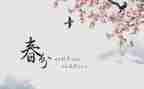 个人中班学期总结5篇