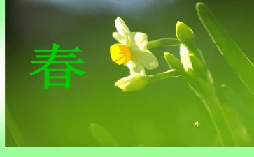 写春节的作文300字精选8篇