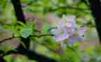 写春节的作文600字通用5篇