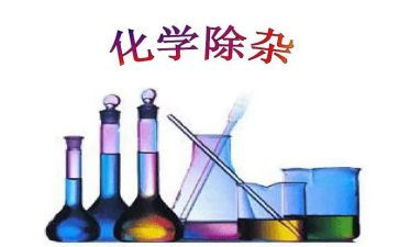 2023年朗读者心得体会7篇