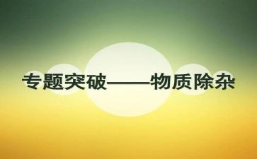 除杂工作总结6篇