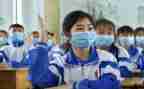初中生物教师的工作总结通用8篇