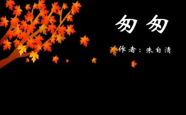 5分钟大学生演讲稿5篇