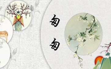 《匆匆》读后感作文5篇