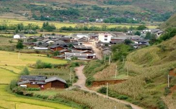 2024年村防疫工作总结7篇