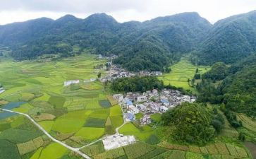村社区卫生工作总结通用6篇