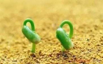 成长挫折类的作文推荐7篇