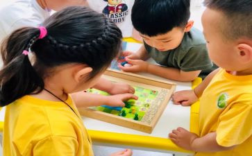 幼儿园大班年工作计划5篇