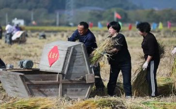 2023版数学课程标准培训心得8篇