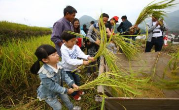 一年级语文教师教学总结6篇