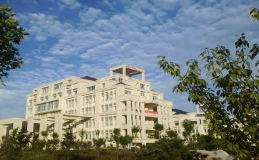 2023小学教师培训总结优质6篇