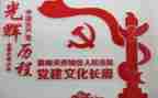 乡镇党建半年工作总结8篇