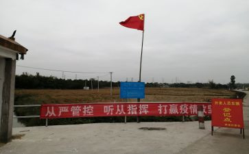 幼儿园党员教师总结8篇