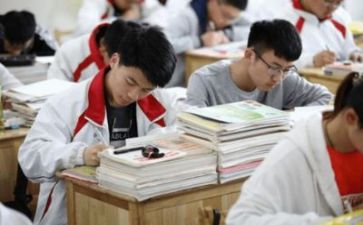 2023小学生实践心得参考5篇