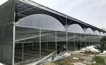 下半年个人工作计划7篇