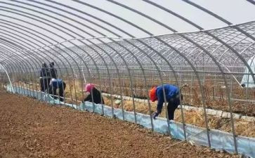 一年级作文旅游作文6篇