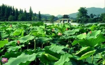 2022—2022学年小班工作计划5篇