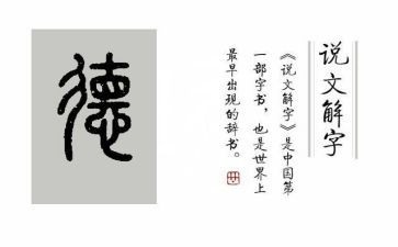 小学德活动总结8篇