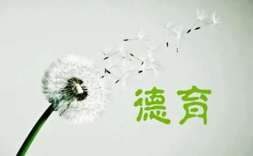 中班个人德育工作计划7篇