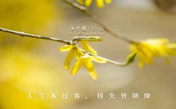 正确面对得与失演讲稿7篇