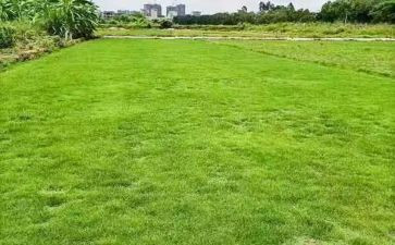 房地产公司的工作计划8篇