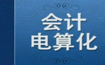 电算化工作总结7篇