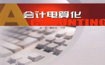 电算化总结报告6篇
