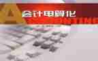 电算化总结报告6篇