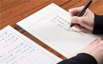 个人除雪工作总结模板5篇