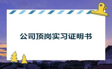 学生顶岗实习技术总结报告8篇