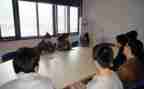 文员顶岗实习报告总结7篇