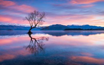 定格作文600字优秀7篇