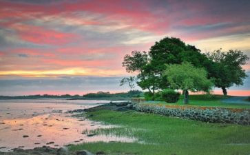 定格作文通用5篇