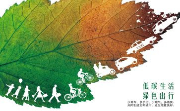 低碳日宣传活动总结5篇