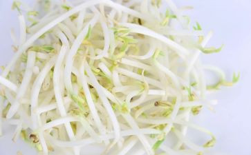 生豆芽的作文7篇