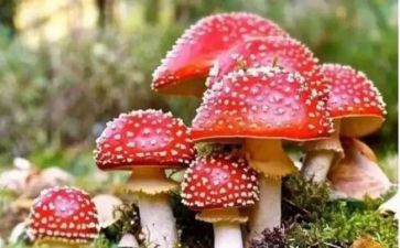 禁毒工作月总结最新8篇