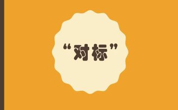 双对标述职报告8篇
