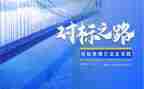 个人对标心得体会精选8篇