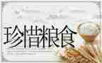 中专班主任工作月总结范文5篇