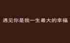 医师专业技术工作报告7篇