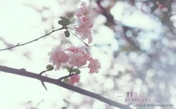 二月份教师工作总结7篇